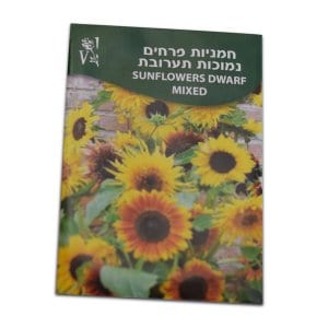 זרעי חמניות פרחים נמוכות תערובת