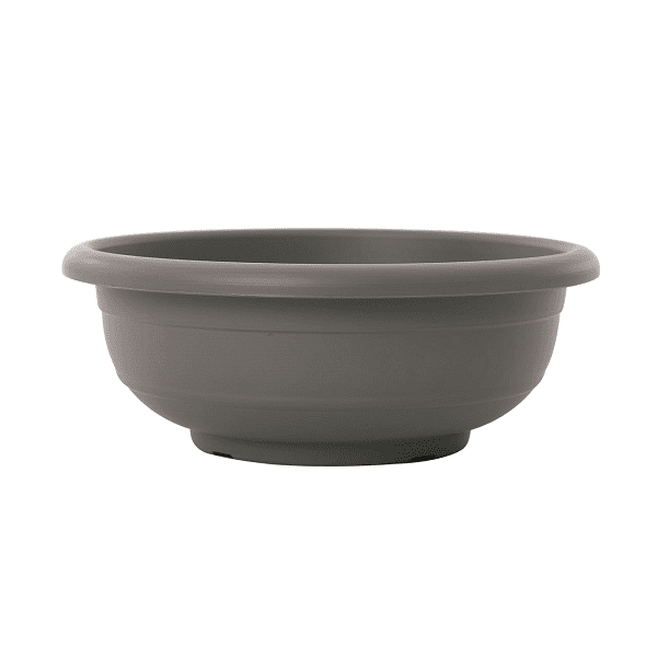 gray קערה כנרת אפור