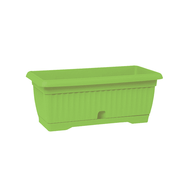green 2 אדנית גולן ירוק בהיר