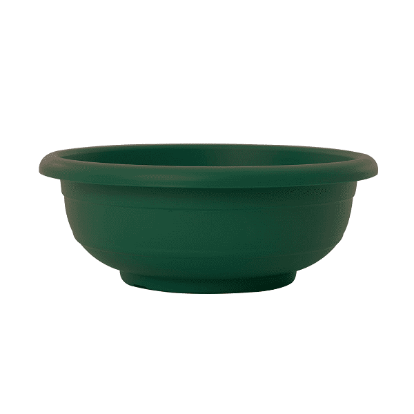 green קערה כנרת ירוק כהה