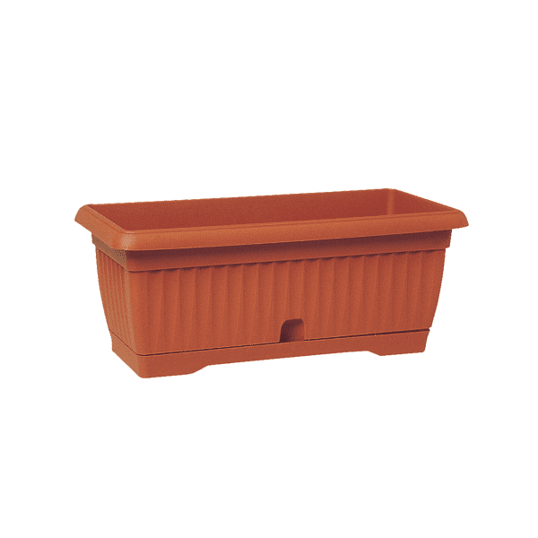 orange אדנית גולן