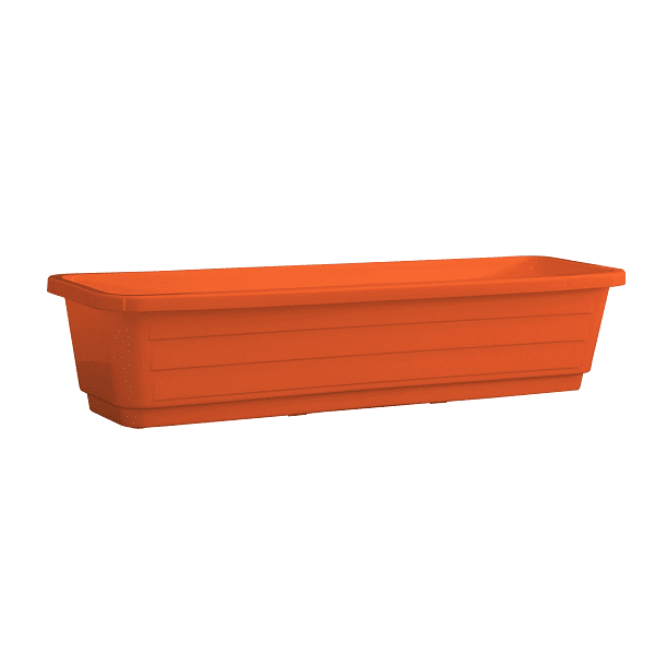 orange אדנית עצמון כתום