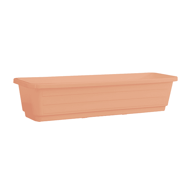 pink 2 אדנית עצמון ורוד עתיק