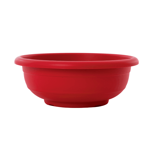 red קערה כנרת אדום