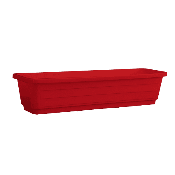 red אדנית עצמון אדום