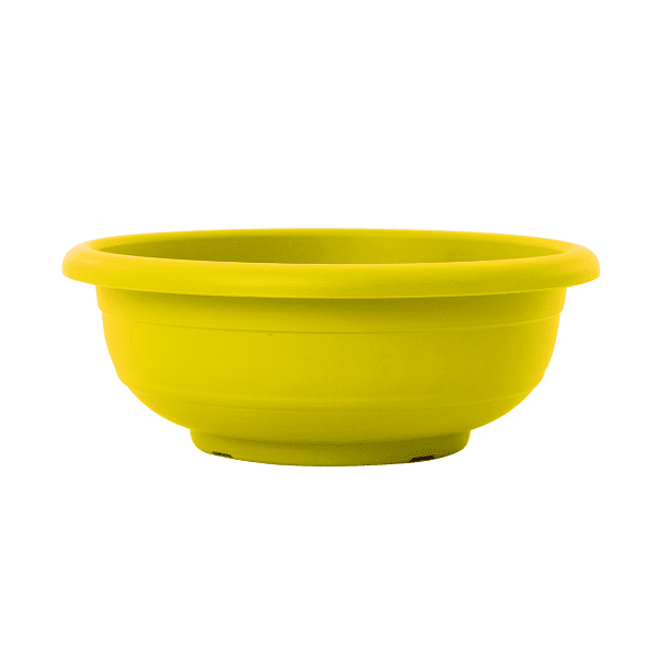 yellow קערה כנרת צהוב