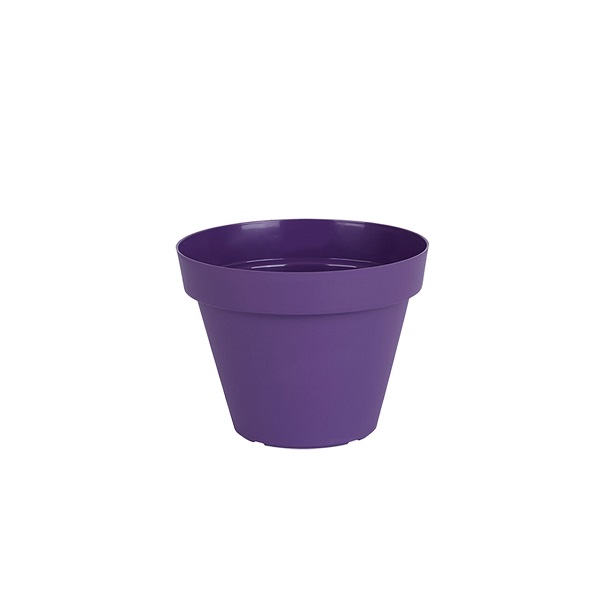 purle