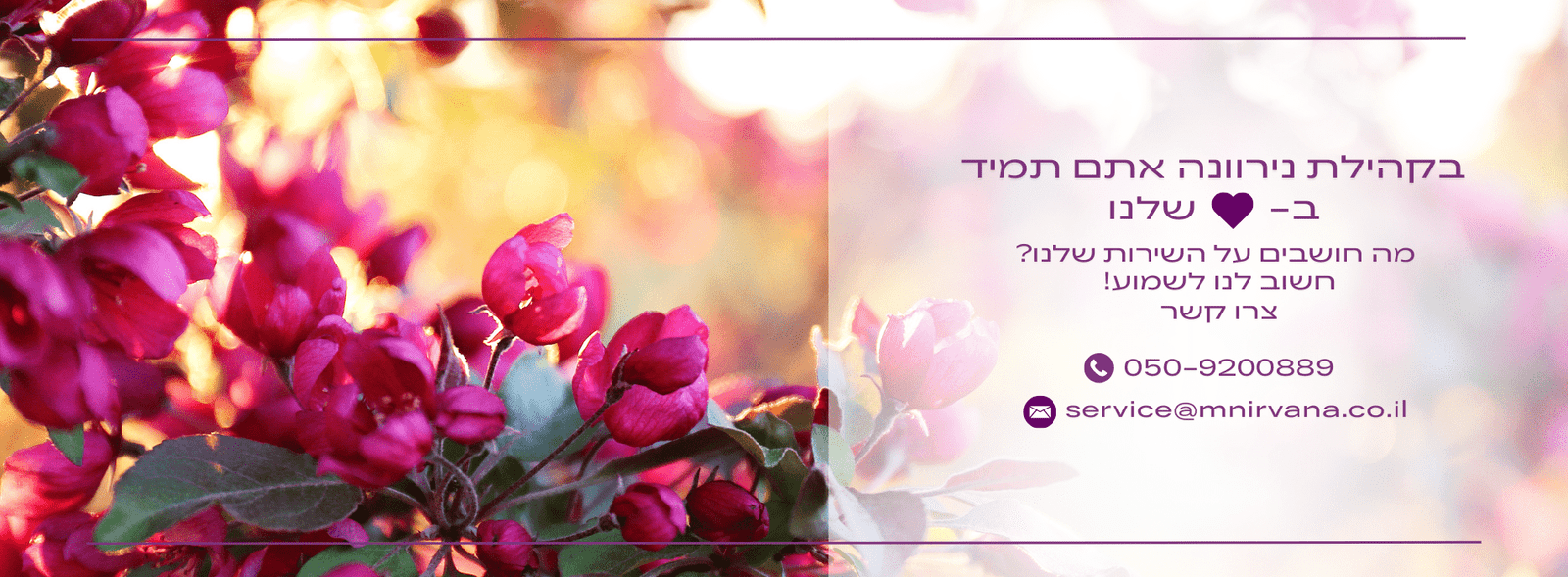 באנר עמד הבית