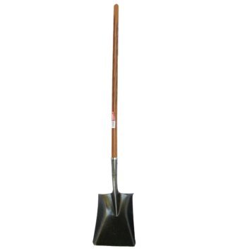 את איסוף מבית תבור Tabor