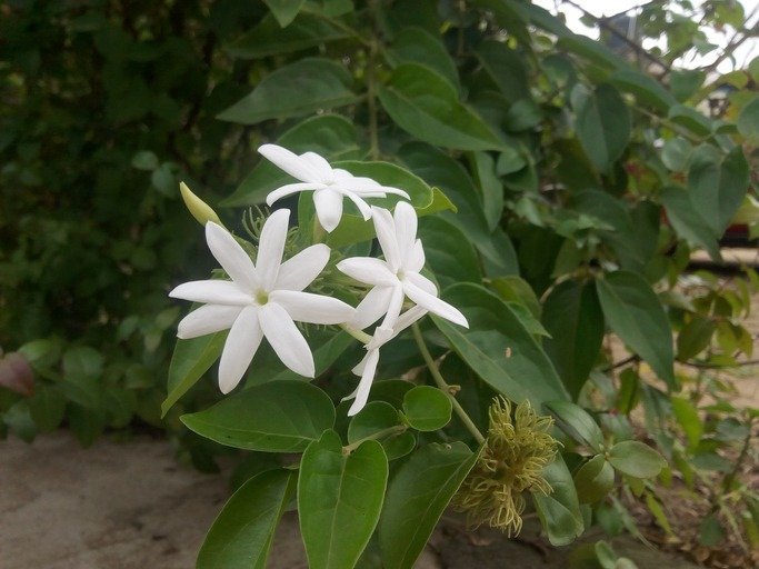 Nature