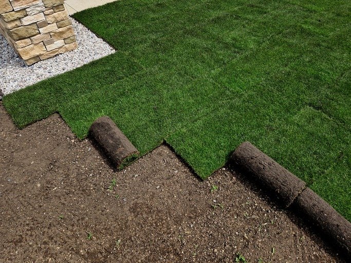 laying grass turf in the family garden. a roll of sod is driven onto the plowed surface of the soil. development and paving is important against erosion and drying out, unroll, install, stacked